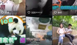 四川观察爆料新闻视频,最新爆料视频背后的惊人真相